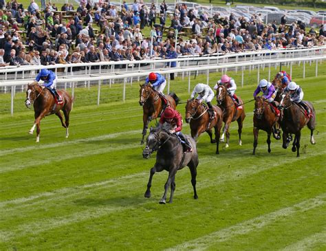 myracing.com|The Home of Free Horse Racing Tips and Horse Racing Betting.